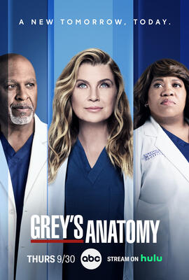 grey anatomy season 1 episode 2 the first cut is the deepest putlocker